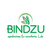 Bindzu Agrobusiness e Consultoria
